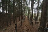 伊豆 山中城の写真