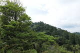 和泉 雨山城の写真