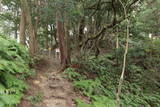 和泉 雨山城の写真