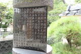 和泉 綾井城の写真