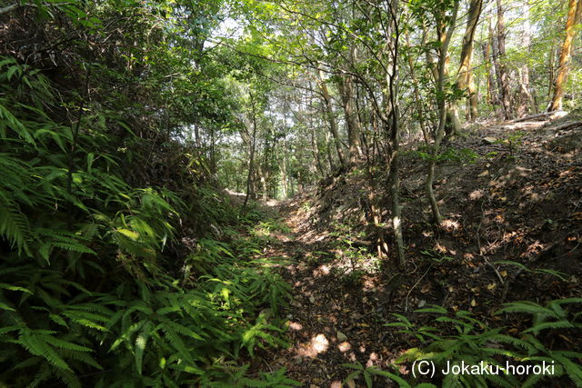 和泉 医王寺城の写真