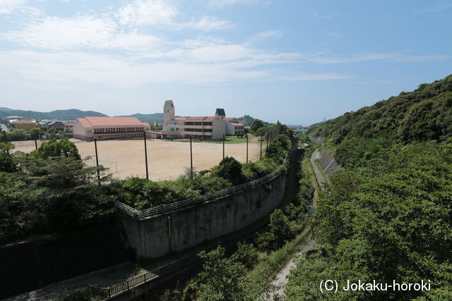 和泉 井山城の写真