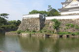 和泉 岸和田城の写真