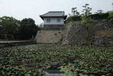 和泉 岸和田城の写真