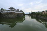 和泉 岸和田城の写真