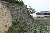 和泉 岸和田城の写真