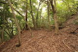 和泉 根福寺城の写真