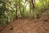 和泉 根福寺城の写真