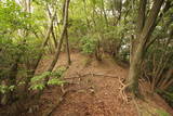 和泉 根福寺城の写真