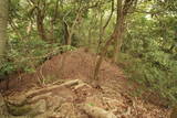 和泉 根福寺城の写真