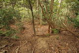 和泉 根福寺城の写真