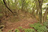 和泉 根福寺城の写真