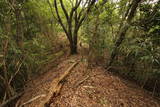和泉 根福寺城の写真