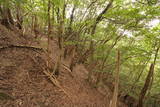 和泉 根福寺城の写真