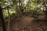 和泉 根福寺城の写真