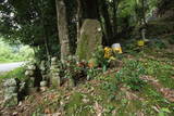 和泉 根福寺城の写真