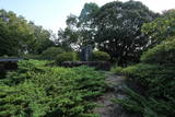 和泉 小谷城の写真