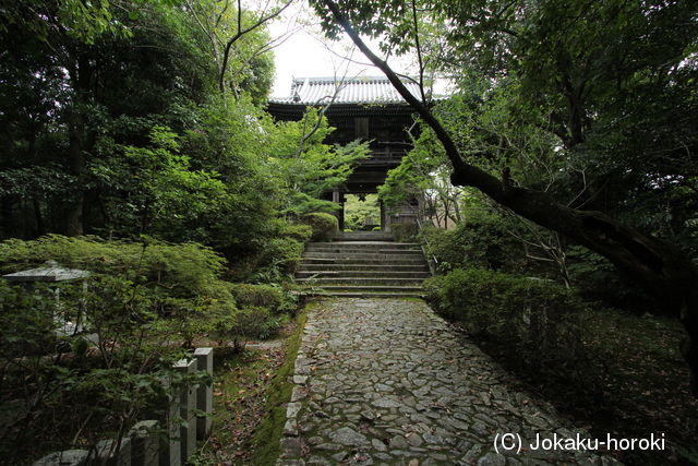 和泉 松尾寺城の写真