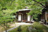 和泉 松尾寺城の写真