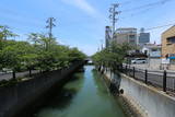 和泉 堺環濠の写真