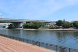 和泉 堺南台場の写真