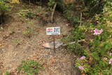和泉 高野山城の写真