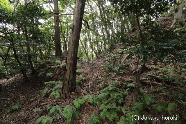 和泉 土丸城の写真