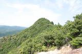 和泉 土丸城の写真
