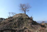 茶臼山城写真