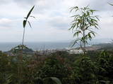 出雲 富士ヶ城の写真