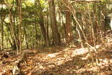 出雲 八幡山城(野石谷町)の写真