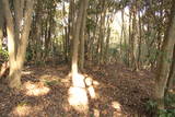 出雲 八幡山城(野石谷町)の写真