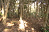 出雲 八幡山城(野石谷町)の写真