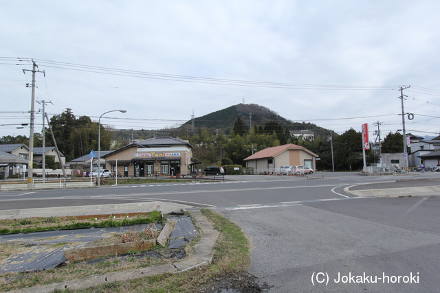 出雲 東岩坂城の写真