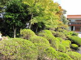 出雲 浄音寺境内館の写真