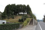 出雲 亀遊山城の写真