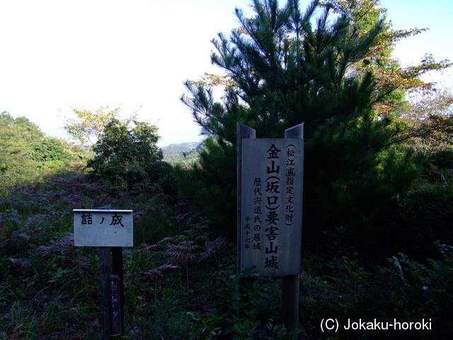 出雲 金山要害山城の写真