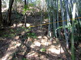 出雲 金山要害山城の写真