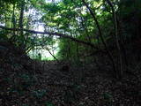 出雲 金山要害山城の写真