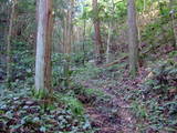 出雲 金山要害山城の写真