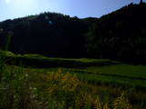 出雲 金山要害山城の写真