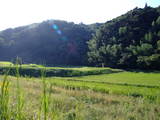 出雲 金山要害山城の写真