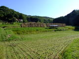 出雲 金山要害山城の写真