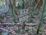 出雲 金山要害山城の写真