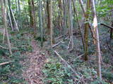 出雲 金山要害山城の写真