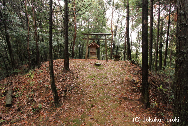 出雲 神庭横山城の写真