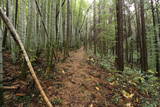 出雲 神庭横山城の写真