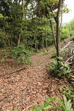 出雲 城名樋山城の写真