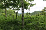 出雲 城名樋山城の写真