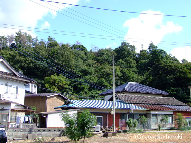 出雲 向山城の写真